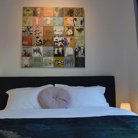 Hippe Studio In Historisch Gebouw In Oude Centrum Antwerpen Kültér fotó