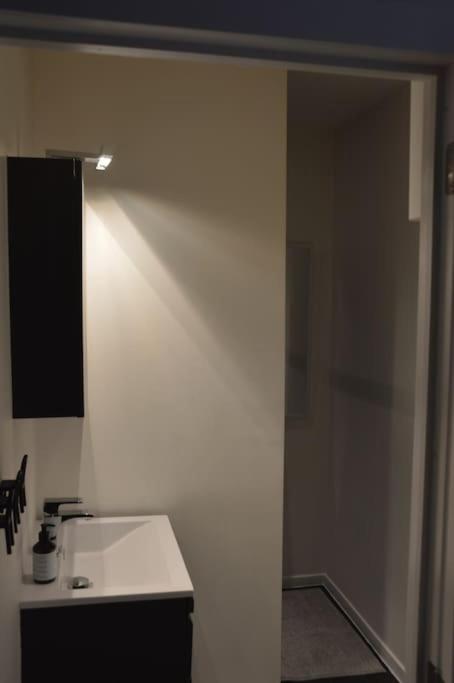 Hippe Studio In Historisch Gebouw In Oude Centrum Antwerpen Kültér fotó